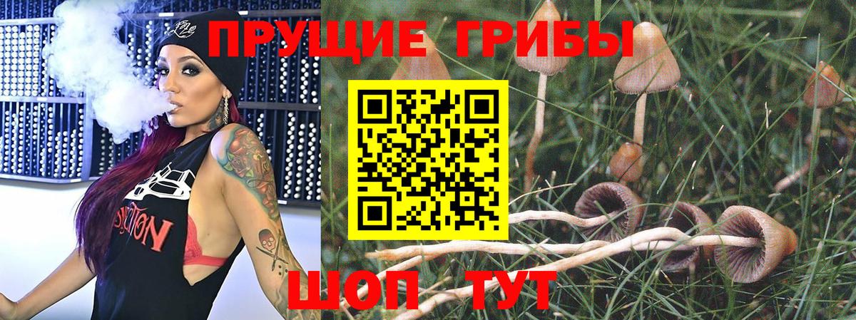 Галлюциногенные грибы GOLDEN TEACHER  Вход с VPN  Галлюциногенные грибы Psilocybine cubensis  Шадринск 