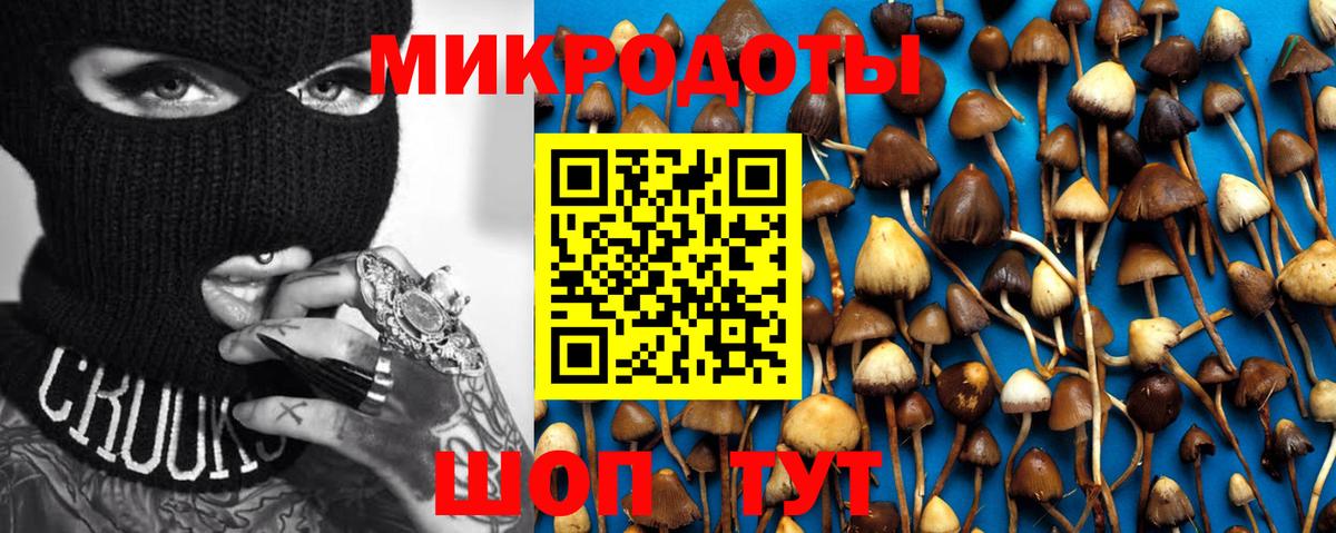 Галлюциногенные грибы ЛСД Шадринск